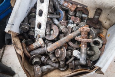 Paslı vida sürüsü