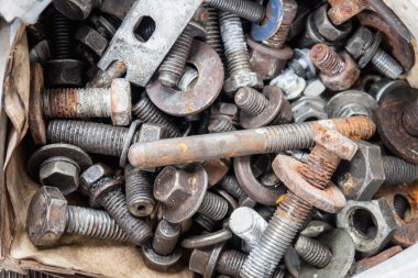 Paslı vida sürüsü