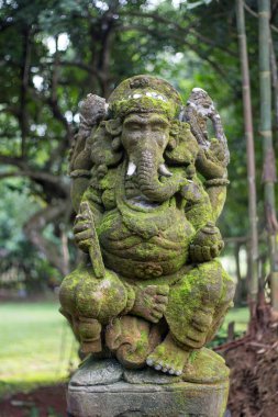 Ganesha yosun Park