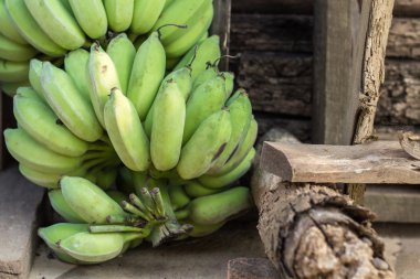 Bir olgunlaşmamış muz