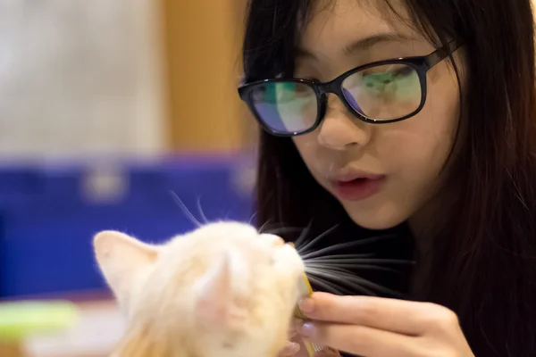 Asijská dívka si hraje s kočkou — Stock fotografie