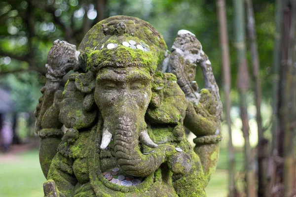 Musgo de Ganesha en el parque —  Fotos de Stock