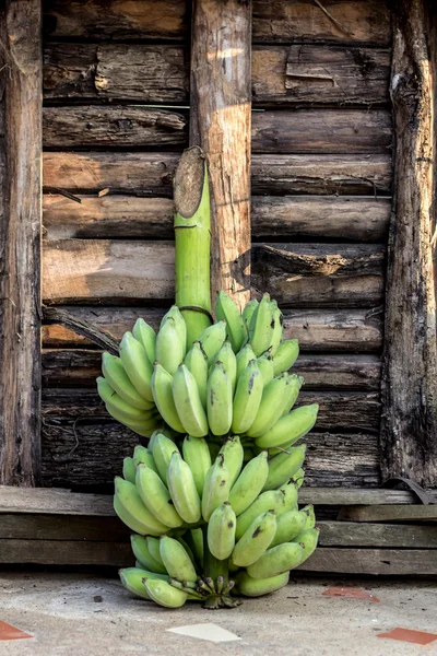 Un plátano inmaduro — Foto de Stock