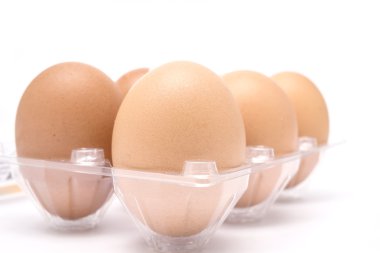 kahverengi tavuk yumurta