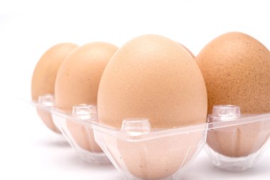 kahverengi tavuk yumurta