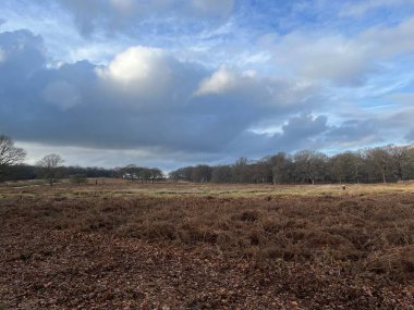 Doğal rezerv gösteren çimenlerle dolu bulutları ve alanı gösteren manzara