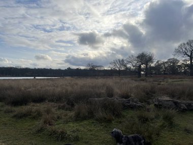 Otla dolu bulutları ve alanı gösterir