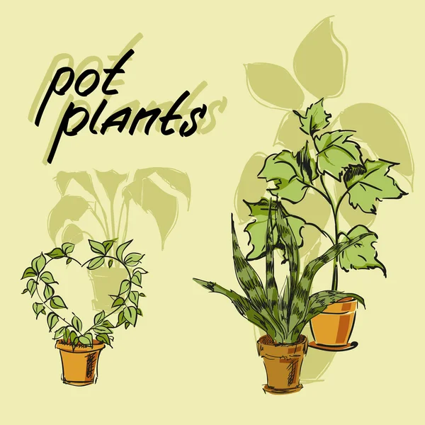 Pot tanaman. Elemen desain gambar tangan - Stok Vektor