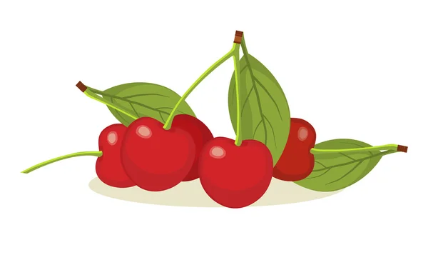 Cherry on a white background — Stock Vector