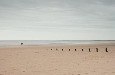 Büyük plaj ve ufuk ile groynes, Norfolk, İngiltere