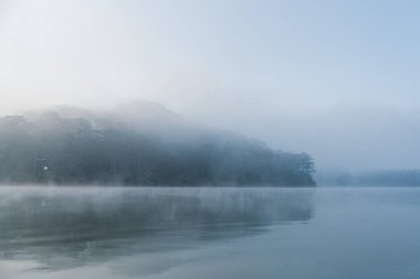 Sis ile birlikte sakin göl ağaç sınırına değdi ve suda yansımalar görülebiliyor.