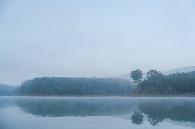 Durgun bir göl, sisli bir gökyüzünün altında yoğun bir ormanı yansıtır. Huzur hissi yaratır.