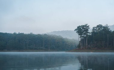 Sakin bir göl, sisli bir bulutlu günde sudaki yansımalarıyla ormanla çevrili.