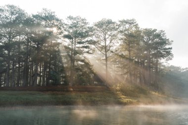 Altın ışık ağaçların arasından suyla birlikte sakin bir göl üzerinde akıyor. Huzurlu bir manzara yaratıyor.