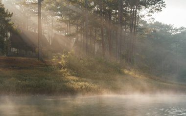 Güneş ışığı, yoğun bir orman zeminine kurulmuş kulübelerle gölün üzerindeki sisi delip geçer.