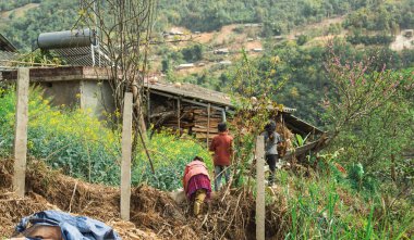 Vietnam kırsalındaki mütevazı kırsal evlerinin yakınlarında gezinen çocukların huzurlu manzarası.