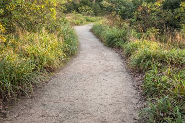 sonbahar park patika