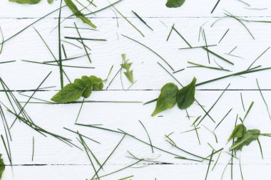 doğranmış yeşil çimen