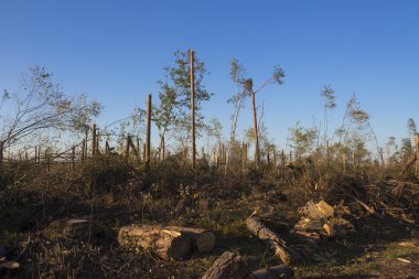 Sonrasında kasırga Beyaz Rusya