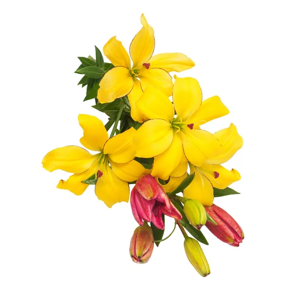 Buquê de lindas flores lírios — Fotografia de Stock