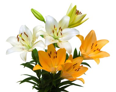 Güzel bir buket çiçek. 