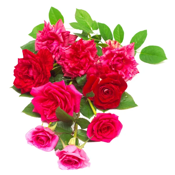 Beautiful bouquet of roses — Stock Photo, Image