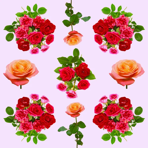 Colección rosa flores — Foto de Stock