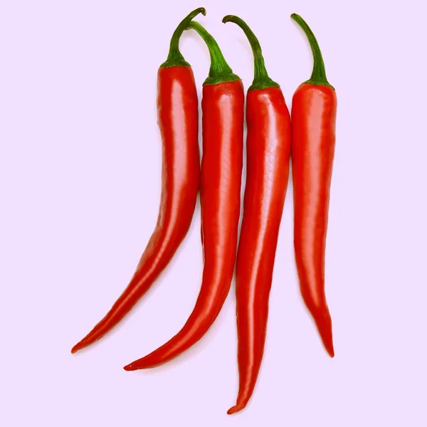 Röd chilipeppar — Stockfoto