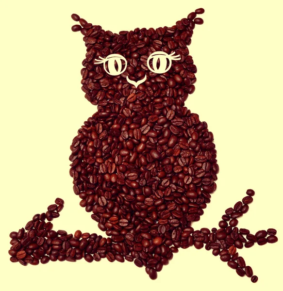 Sowa z ziaren kawy — Zdjęcie stockowe