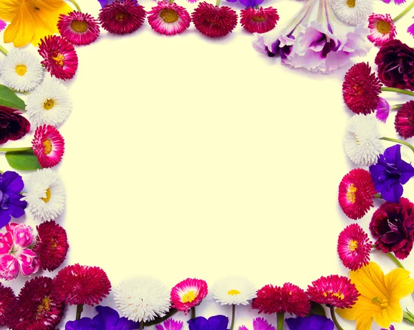 Quadro de belas flores — Fotografia de Stock