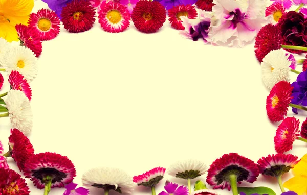Ramki z pięknych kwiatów — Zdjęcie stockowe