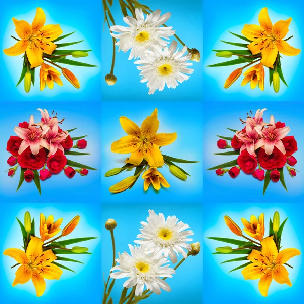 Gyönyörű virágok gyűjteménye — Stock Fotó