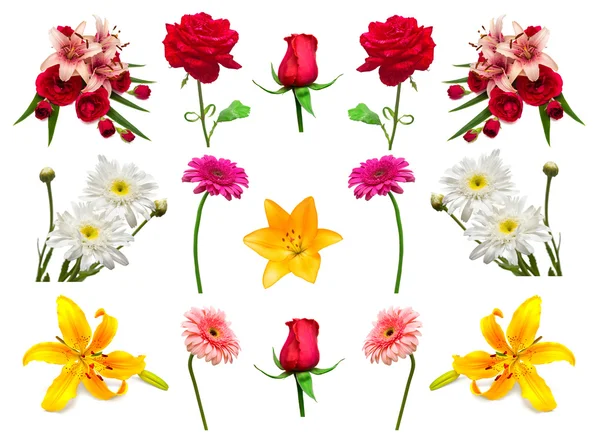 Gyönyörű virágok gyűjteménye — Stock Fotó