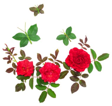 Güzel bir buket gül