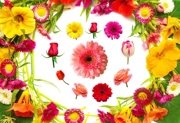 Cartão de casamento de flores — Fotografia de Stock