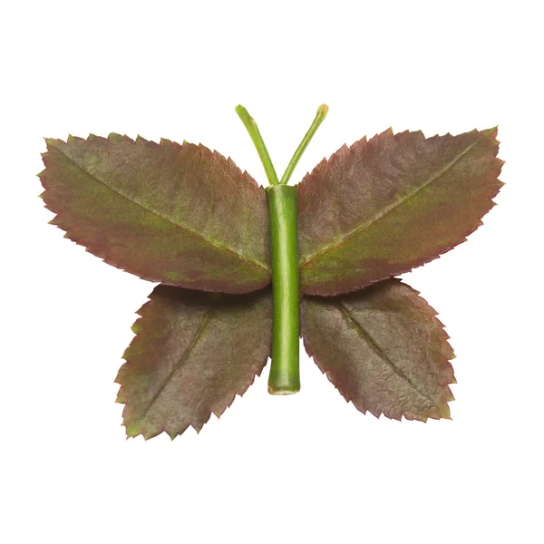 Borboleta cortada de folhas — Fotografia de Stock