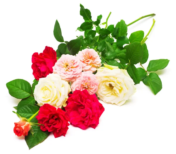 Beautiful bouquet of roses — Stock Photo, Image