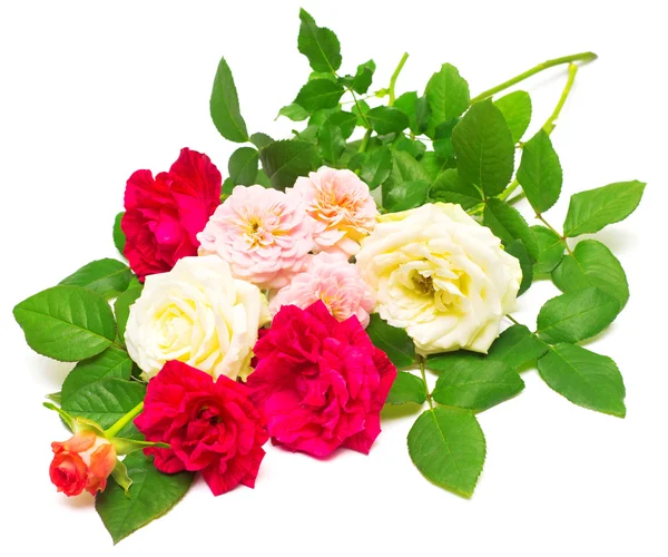 Beautiful bouquet of roses — Stock Photo, Image