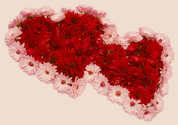 Två hjärtan från blommor — Stockfoto