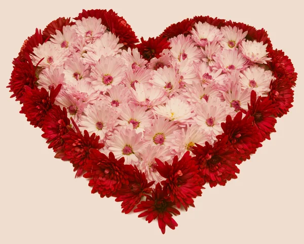 Ροζ καρδιά από λουλούδια — Φωτογραφία Αρχείου