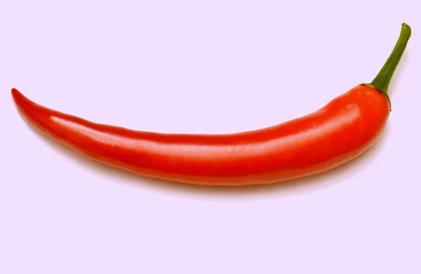 Red chili pepper — Stock Photo, Image