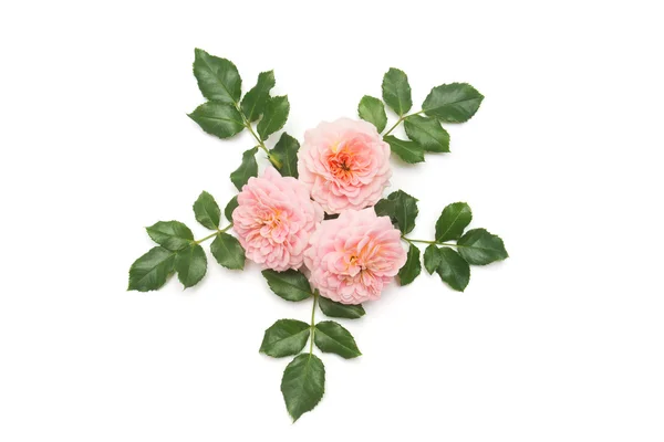 Mooi boeket rozen — Stockfoto