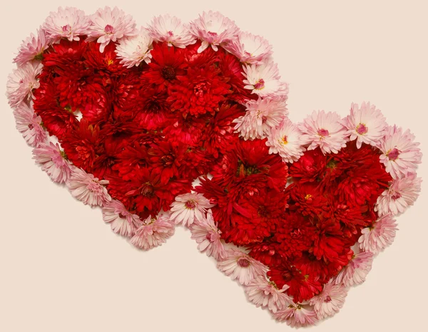 Twee harten van bloemen — Stockfoto