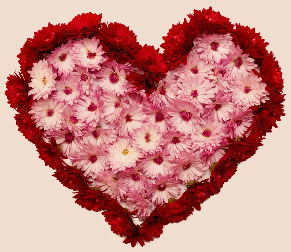 Roze hart van bloemen — Stockfoto