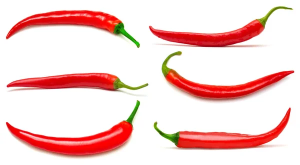 Samla Röd Chili Peppar Isolerad Vit Bakgrund — Stockfoto