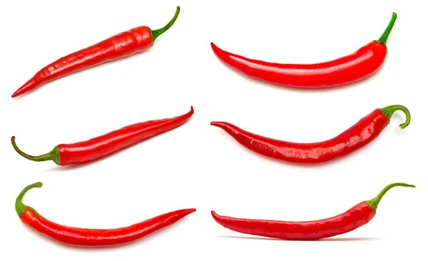 Collezione Peperoncino Rosso Isolato Sfondo Bianco — Foto Stock