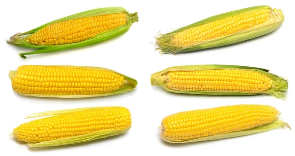 Collection Corn Isolated White Background Top View Flat Lay — Stock Photo, Image