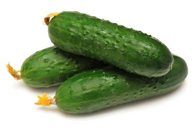 fresh green Cucumbers clipart