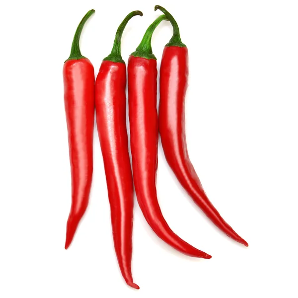 Červené chilli papričky — Stock fotografie