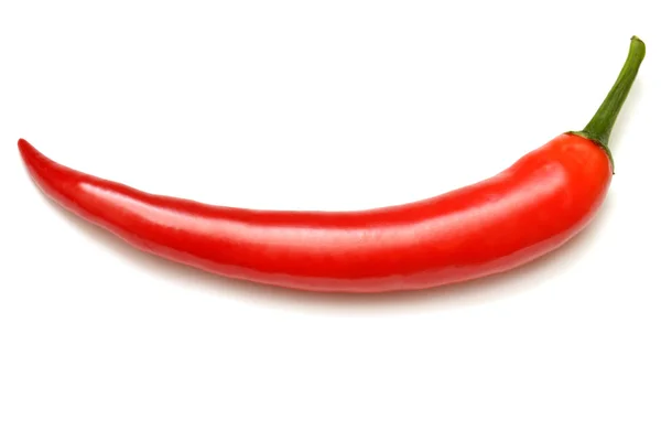 Red chilli pepper — Stock Photo, Image